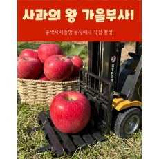 가을사과 [부사]  10kg 36과 [중소과]